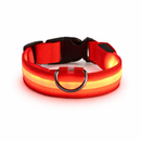 Coleira Led Nylon