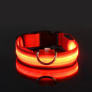 Coleira Led Nylon