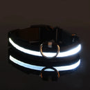 Coleira Led Nylon