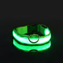Coleira Led Nylon