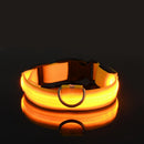 Coleira Led Nylon