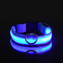 Coleira Led Nylon