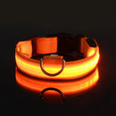 Coleira Led Nylon