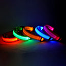 Coleira Led Nylon
