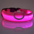 Coleira Led Nylon