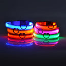 Coleira Led Nylon
