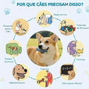 Kit 10 Brinquedos